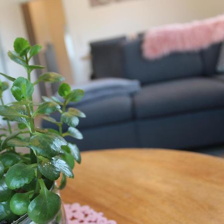 Ferienhaus Seehuis, Sauna, Angeln, Familienfreundlich Twist エクステリア 写真