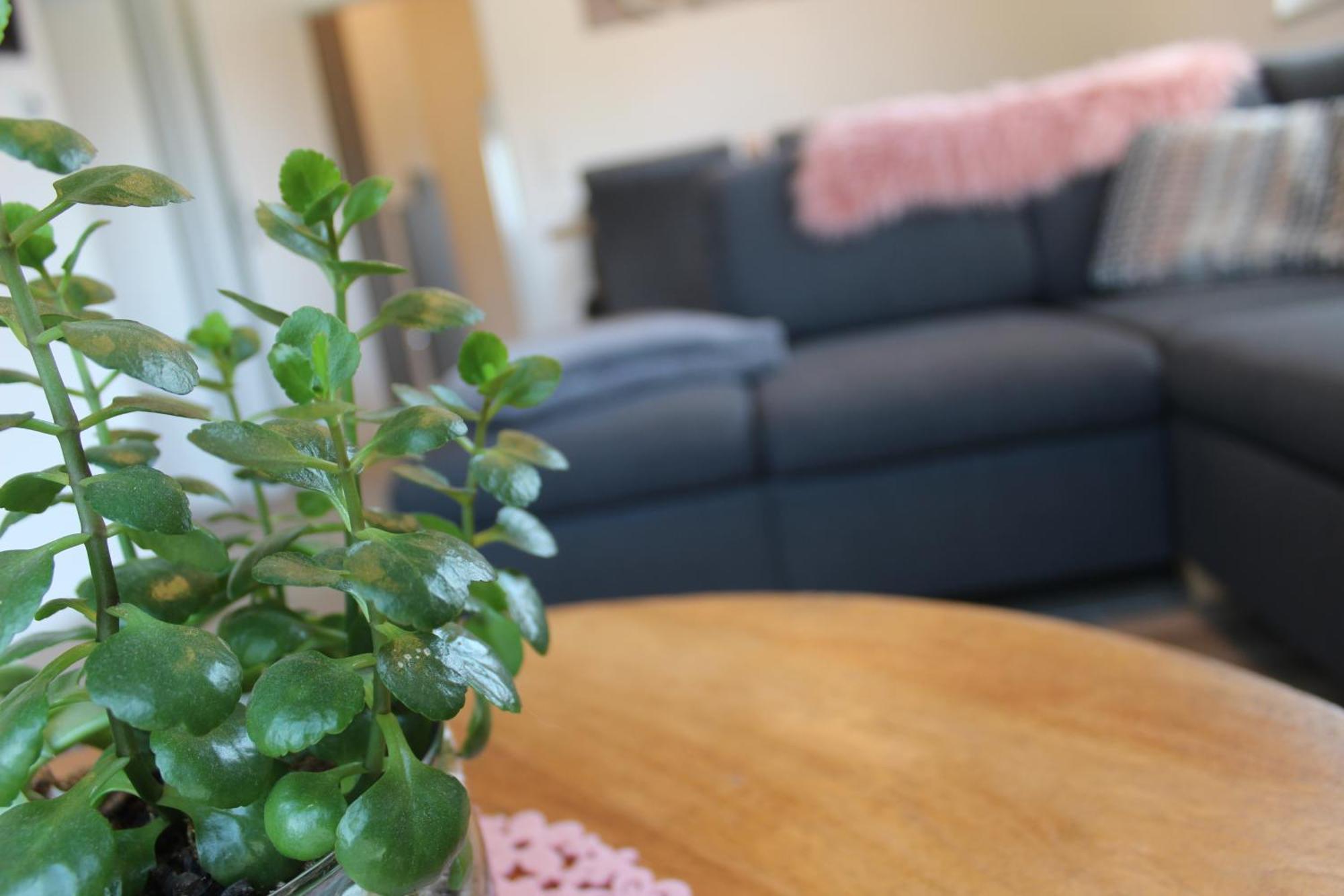 Ferienhaus Seehuis, Sauna, Angeln, Familienfreundlich Twist エクステリア 写真